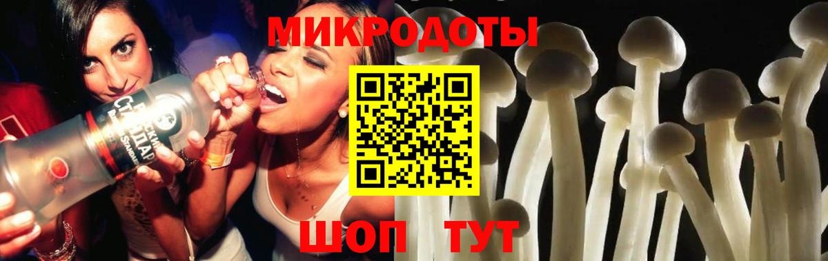 Галлюциногенные грибы Magic Shrooms  Вход с VPN  Псилоцибиновые грибы GOLDEN TEACHER  Новокузнецк 